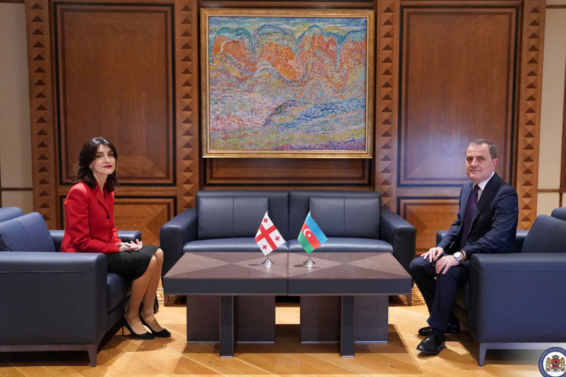 საქართველო და აზერბაიჯანი კარგად უმკლავდება სხვადასხვა მხრიდან ჩარევის მცდელობებს – მაკა ბოჭორიშვილი
