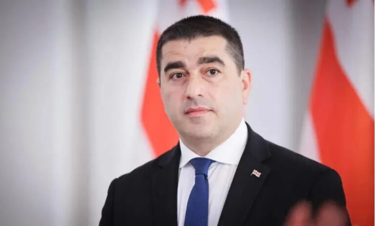 საიდუმლო არაა, რომ დონორებს აქვთ მითითება, მათი ბიუჯეტის ნახევარზე მეტი ისევ წარმომავლობის ქვეყანაში დააბრუნონ – შალვა პაპუაშვილი