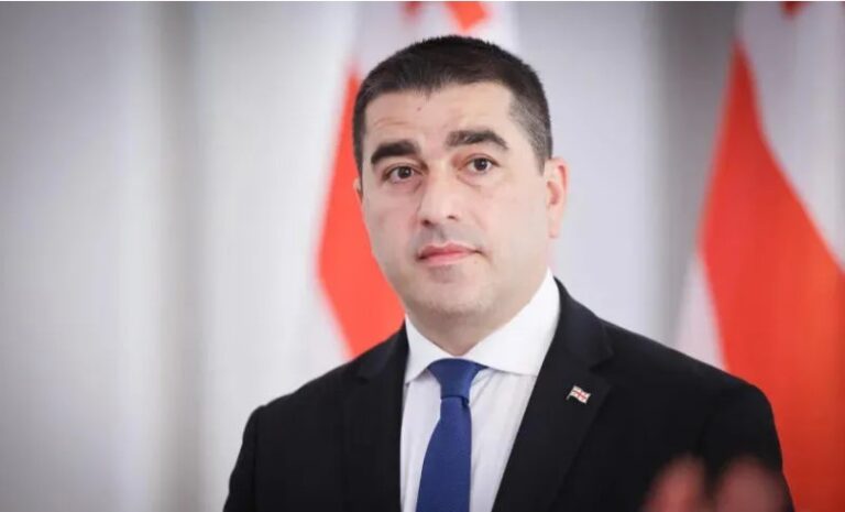 "ზუსტად იმ მომენტში, როცა საჭიროა საზოგადოების ერთიანობა და საქმეზე კონცენტრირება, ვხედავთ ოპოზიციას და ენჯეოებს, რომლებიც ზურგში დანას სცემენ ქართულ საზოგადოებას" – შალვა პაპუაშვილი