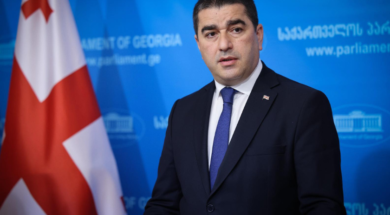 შალვა პაპუაშვილი