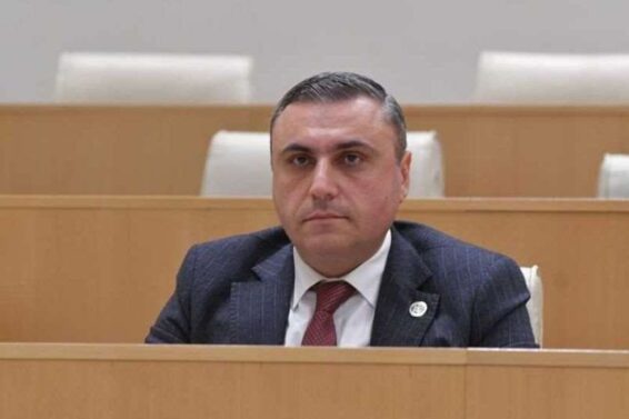 რასა იუკნევიჩიენე ტყუილს ტყუილზე წერს და ცარიელი დარბაზის პირობებში საკუთარ თავს უყვება, ამ ტყუილებს არც სამართლებრივი, არც პოლიტიკური ფასი არ აქვს -დავით მათიკაშვილი