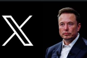 m,