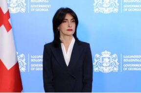 მაკა