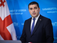 შალვა პაპუაშვილი1