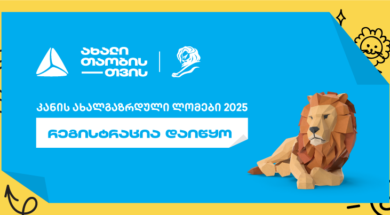 თიბისი – კანის ლომები