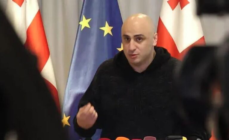 ნახევარი ოპოზიციური პარტიები სერიოზულად ფიქრობენ ადგილობრივ არჩევნებზე გასვლას – ნიკა მელია