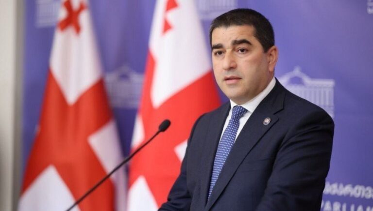 არჩევნებიდან ექვსი თვის შემდეგ, პარლამენტი სრულად ახორციელებს დაკისრებულ მოვალეობას, ხოლო ბოიკოტმა თუ ვინმე პოლიტიკურ სამარეში ჩაიყვანა, თავად რადიკალური ოპოზიციაა -შალვა პაპუაშვილი