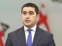 შალვა პაპუაშვილი1