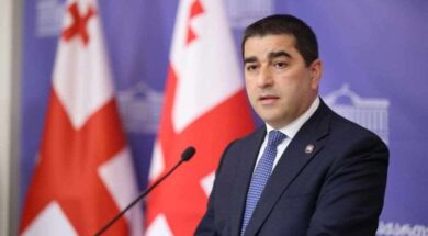 შალვა პაპუაშვილი2