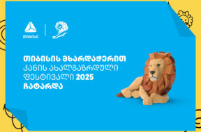 თიბისის გუნდმა Young Lions Georgia 2025-ზე ოქროს მედალი მოიპოვა.
