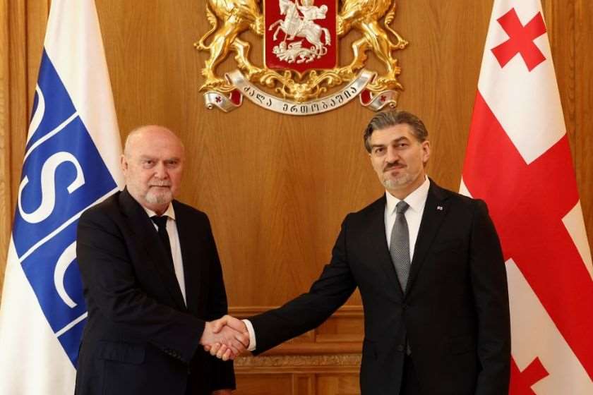 მიხეილ ყაველაშვილმა ეუთოს გენერალურ მდივანს პრეზიდენტის სასახლეში უმასპინძლა