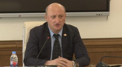 1747635788-david-lortqipanidze1-1024×621