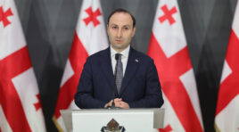 გიორგი ბაჩიაშვილი დაკავებიდან მოყოლებული არაერთ ზღაპარს ჰყვება და ალბათ გააგრძელებს ამ ზღაპრების მოყოლას, ის დამსახურებულად განთავსებულია იქ, სადაც უნდა იყოს -ანრი ოხანაშვილი