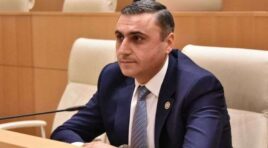 გვახსოვს ჰერჩინსკის არაერთი განცხადება, როდესაც არა თუ ერეოდა ქვეყნის შიდა საქმეებში, არამედ საზოგადოებას რადიკალური ოპოზიციის მხარდაჭერას სთავაზობდა-დავით მათიკაშვილი