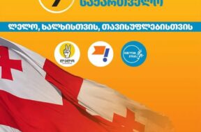 ძლიერი საქართველო1