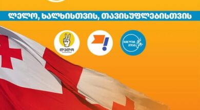 ძლიერი საქართველო1