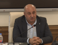 გელა შერმადინი1