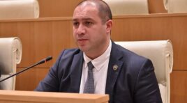 “მეგობარი აქტი” არის საქართველოს და ქართველი ხალხის არამეგობრული აქტი, რომელიც რეალობას არანაირად არ ასახავს -გივი მიქანაძე