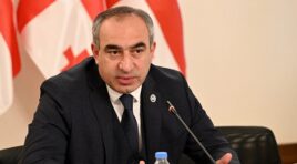“ქართველ ხალზე კარგად არავინ იცის, იმსახურებს თუ არა “ნაციონალური მოძრაობა” ქართულ პოლიტიკაში დარჩენას” – ლადო ბოჟაძე