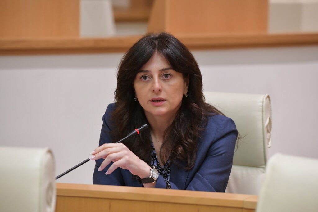ერთადერთი გზა, რომელიც შესაძლებელია, განვიხილოთ იმისთვის, რომ გადაიტვირთოს ურთიერთობები ევროკავშირთან, არის მეგობრული და თანასწორი დამოკიდებულება ჩვენი ერის მიმართ-მაია ბითაძე