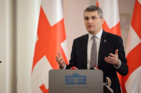 მამუკა მდინარაძე1
