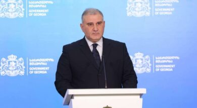 მიხეილ სარჯველაძე22