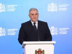 მიხეილ სარჯველაძე22