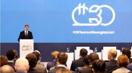 “საქართველოს ეროვნული ვალუტა – ლარი წარმოადგენს ჩვენი ქვეყნის ეკონომიკური და სოციალური სტაბილურობის მტკიცე საყრდენს!” -მიხეილ ყაველაშვილი