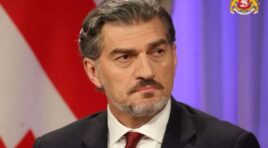 მიუღებელია ორმაგი სტანდარტი, რა მიდგომებიც აქვთ. მიუხედავად ამისა, ქვეყნებს, რომლებიც ამ ქმედებებს სჩადიან, მივიჩნევთ პარტნიორებად – მიხეილ ყაველაშვილი