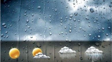 Screenshot_5