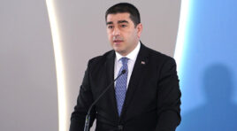 ზოგიერთებს კატეგორიებად აქვთ ჩამოყალიბებული ქვეყნები, ის, რაც მიუღებელია ბერლინში, მისაღებია თბილისში  -შალვა პაპუაშვილი