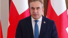 ოპოზიციური პარტიების ნაწილი უკვე ემზადება არჩევნებისთვის, თუმცა ამის თქმას ჯერ ვერ ბედავენ-ვლადიმერ ბოჟაძე