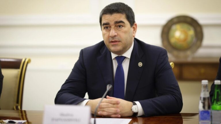მე წარმოვადგენ ხელისუფლებას, რომელმაც ყველაზე მეტი გააკეთა ევროკავშირში გაწევრიანების პროცესში წინსვლისთვის, საქართველო ევროკავშირში გაწევრიანების გზის ერთგულია -შალვა პაპუაშვილი
