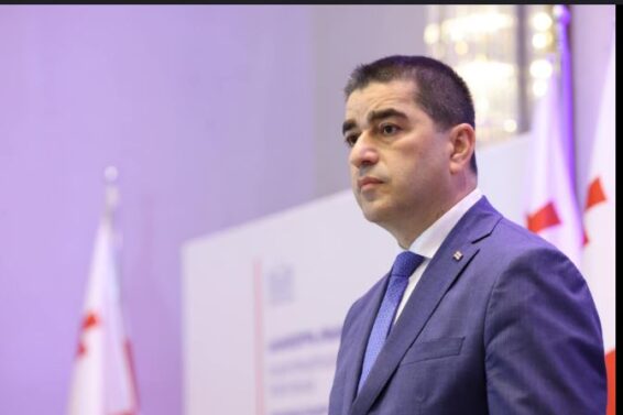 ,,დამოუკიდებლობა პროცესია, ყოველდღიური ბრძოლა, რომელიც არ მთავრდება''- შალვა პაპუაშვილი