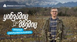 თიბისი აგრობიზნესისთვის – აჭარული  ლურჯი მოცვის მოგზაურობა დასავლურ ბაზრებზე