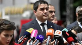 უვიზო რეჟიმის შეჩერების არანაირი საფუძველი არ არსებობს, რაც შეეხება თვითნებობას და საბაბის ძებნას, ჩვენ სხვის თვითნებობაზე და არაკეთილსინდისიერებაზე პასუხისმგებლობას ვერ ავიღებთ – შალვა პაპუაშვილი