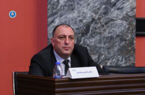გვარაკიძე2