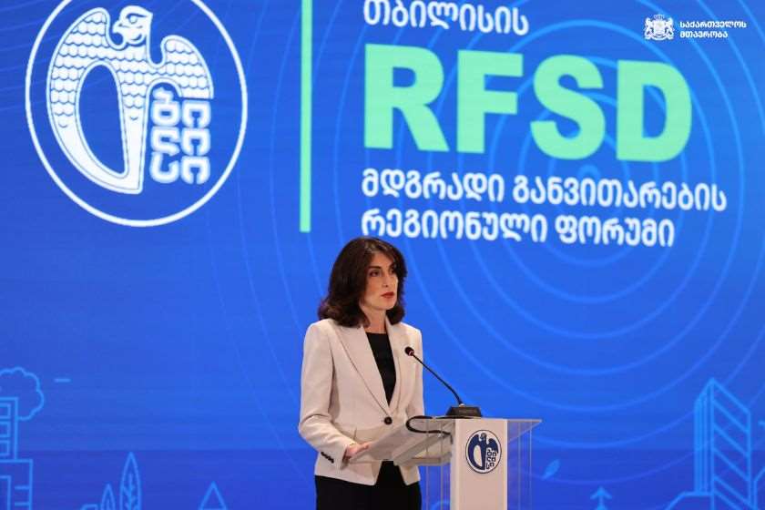 ჩვენმა უახლესმა ისტორიამ გვასწავლა, რომ შეუძლებელია განვითარებაზე საუბარი მშვიდობის გარეშე – მაკა ბოჭორიშვილი