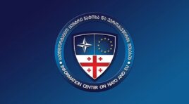 რეფორმის შესახებ სპეკულაციები მიზნად ისახავს პროცესის დისკრედიტაციას, რაც ცხადყოფს რეფორმის აუცილებლობას-ნატო-სა და ევროკავშირის საინფორმაციო ცენტრის ხელმძღვანელი