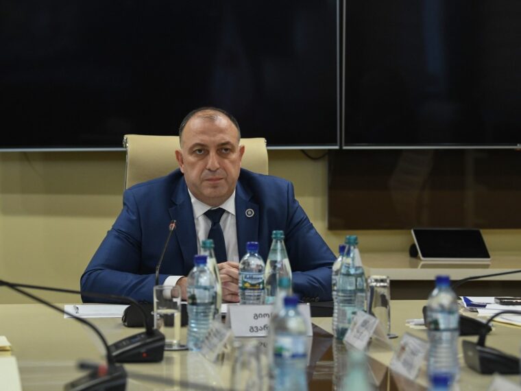 პარლამენტმა საქართველოს გენერალურ პროკურორად გიორგი გვარაკიძე აირჩია