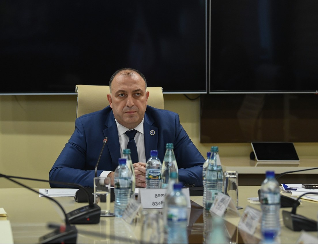 პარლამენტმა საქართველოს გენერალურ პროკურორად გიორგი გვარაკიძე აირჩია