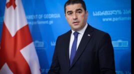 ,,საინტერესო ისაა, რომ  ტუსკმა მიგრაციის საკითხს გაუსვა ხაზი. პირდაპირ ამბობს, რომ ქართველ ხალხს დააბრალებს თავის ქმედებებს”- შალვა პაპუაშვილი