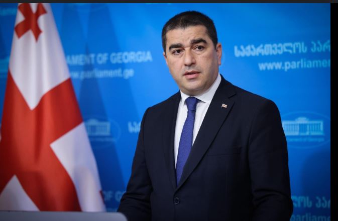 ,,საინტერესო ისაა, რომ ტუსკმა მიგრაციის საკითხს გაუსვა ხაზი. პირდაპირ ამბობს, რომ ქართველ ხალხს დააბრალებს თავის ქმედებებს”- შალვა პაპუაშვილი