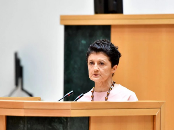 თქვენ ყველას განურჩევლად არ იცავთ იმიტომ, რომ გრცხვენიათ, ჩვენი არსებობის ნუ გრცხვენიათ, თქვენ გრცხვენიათ ჩვენი დაცვა – თეა წულუკიანი ლევან იოსელიანს