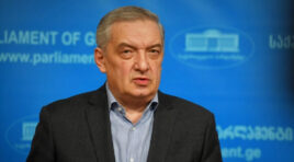 ევროპარლამენტის რეზოლუცია სამართლიან ინფორმაციაზე დაფუძნებული არ არის-გია ვოლსკი