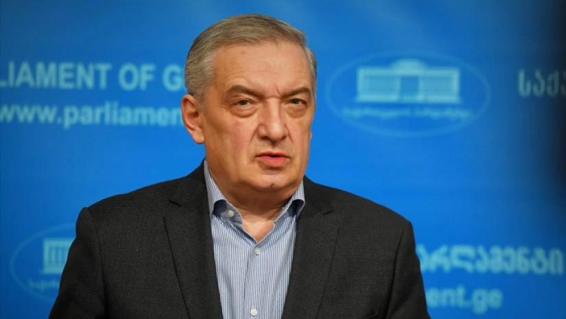 ევროპარლამენტის რეზოლუცია სამართლიან ინფორმაციაზე დაფუძნებული არ არის-გია ვოლსკი
