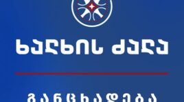 საქართველოში ევროკავშირს წარმოადგენს ადამიანი, რომელიც სრულად დაცლილია იმ ევროპული ღირებულებებისგან, რასაც უნდა წარმოადგენდეს -“ხალხის ძალა”
