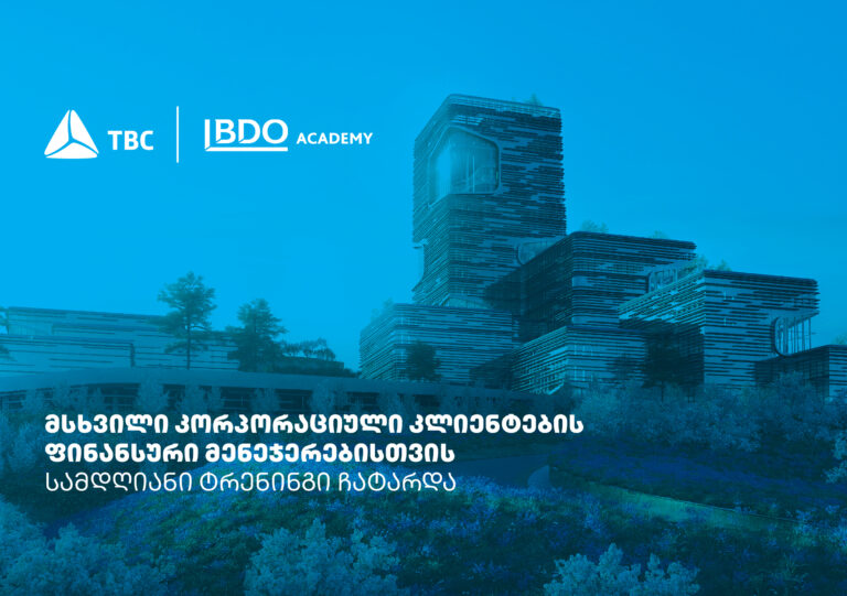 თიბისიმ პარტნიორი კომპანიების ფინანსური მენეჯერებისთვის ყოველწლიური ტრენინგები გამართა