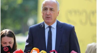 ბადრი ჯაფარიძე