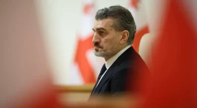 yavelashvili4